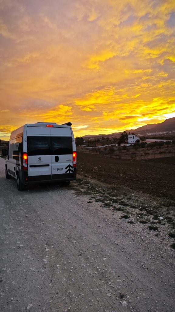 IMG_20231213_0827566 IMG 20231213 0827566